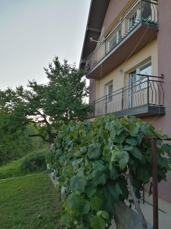 Uzicki-konaci Apartment Uzice